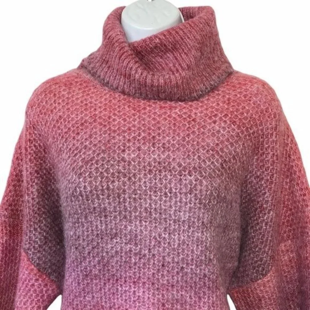 NWT ENTRO Ombre Turtleneck Sweater L Stripe Knit LS Drop Shoulders Winter NEW
